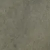 ارتشی