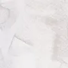 طوسی